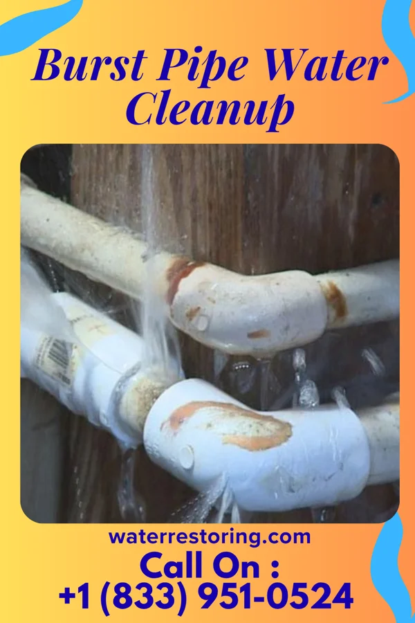 Burst Pipe Water Cleanup in Olowalu, HI