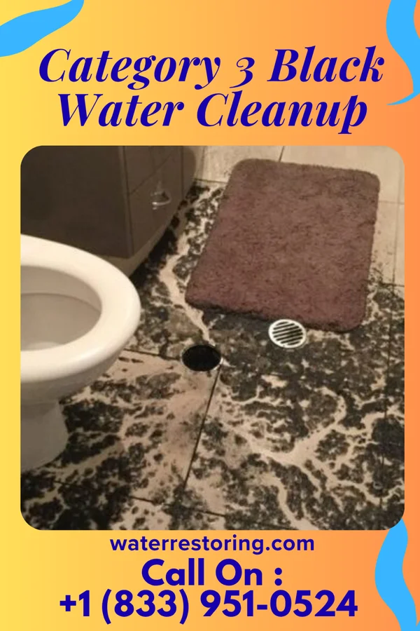 Category 3 Black Water Cleanup in Olowalu, HI