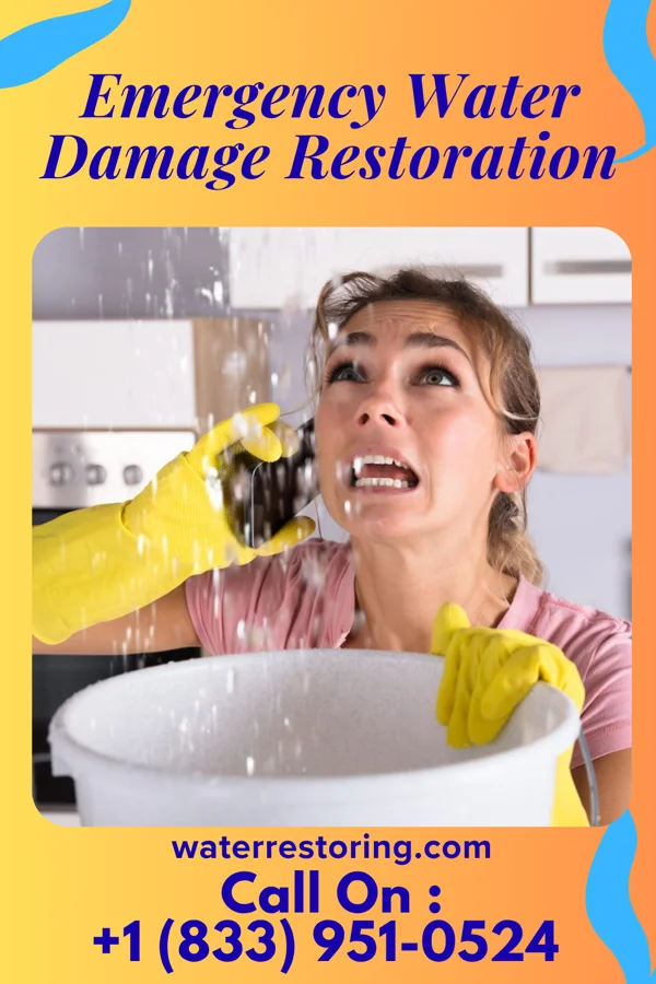 Emergency Water Damage Restoration in Olowalu, HI