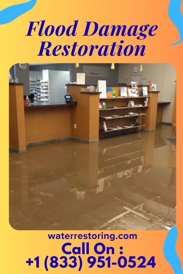 Flood Damage Restoration in Olowalu, HI