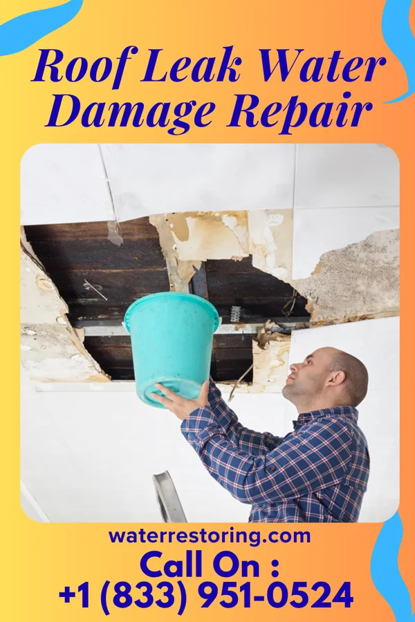 Roof Leak Water Damage Repair in Olowalu, HI