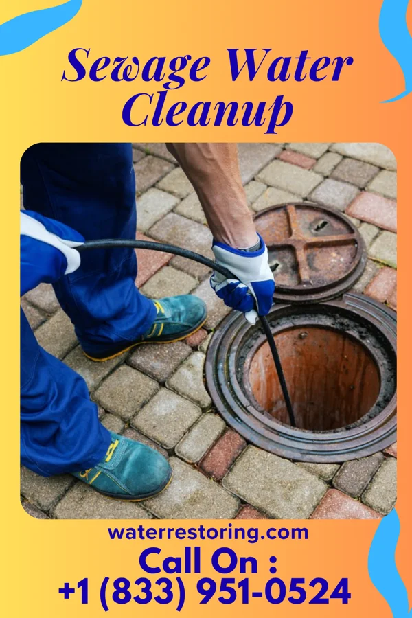 Sewage Water Cleanup in Olowalu, HI